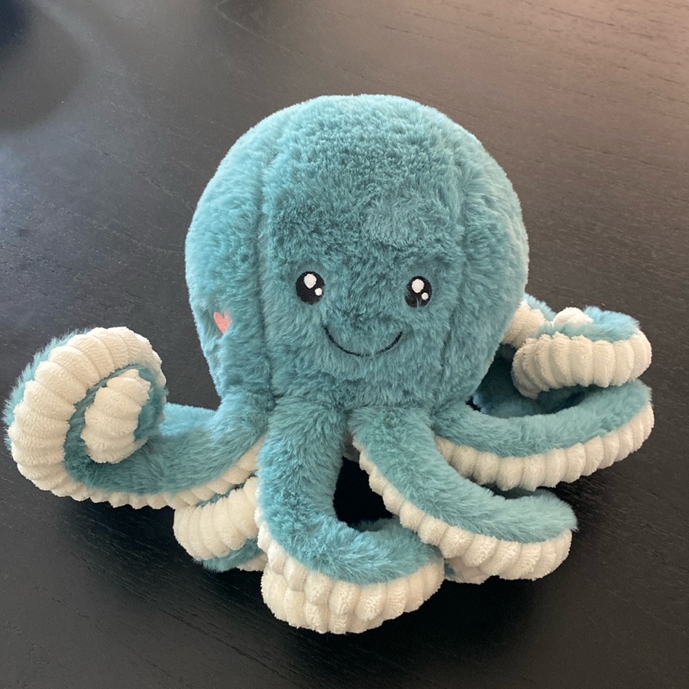 Montana’s Heart Octopus Stuffed Animal
